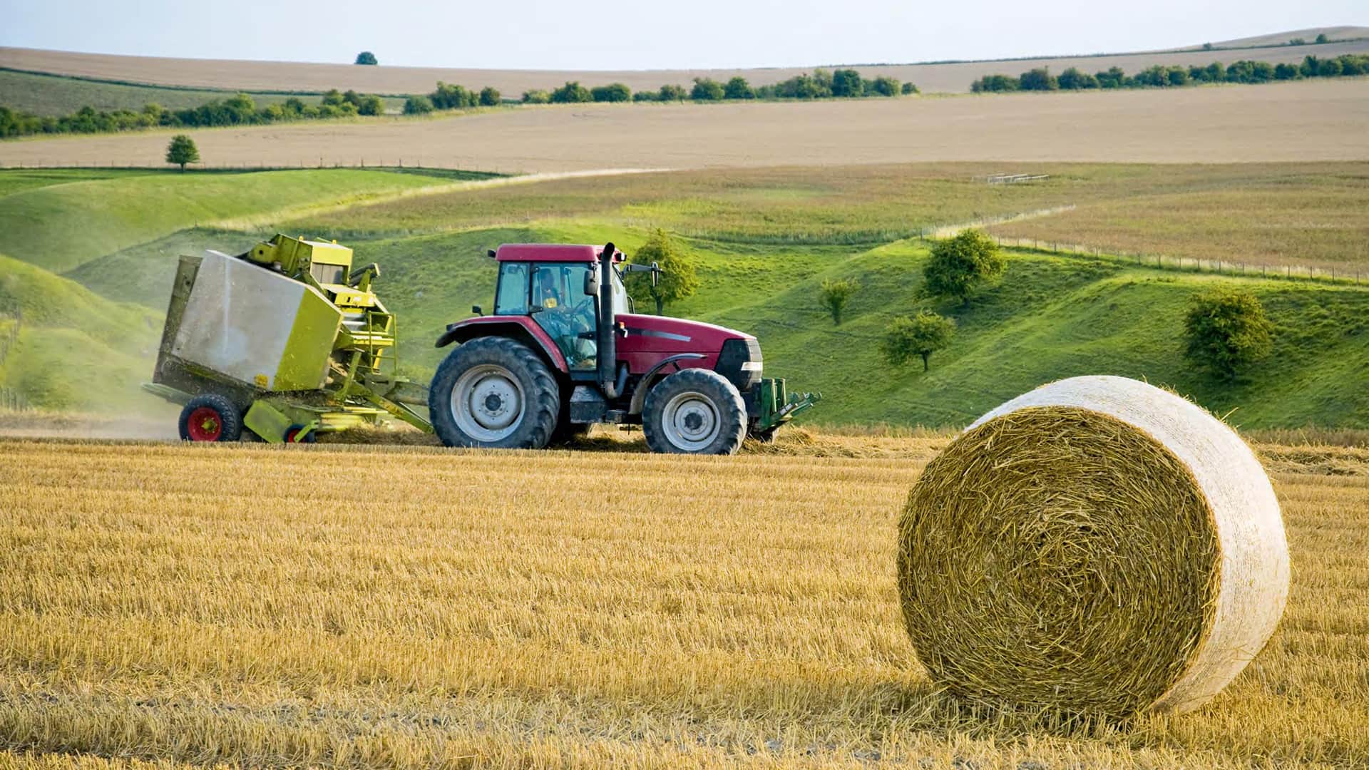 Supporting British Producers & Suppliers