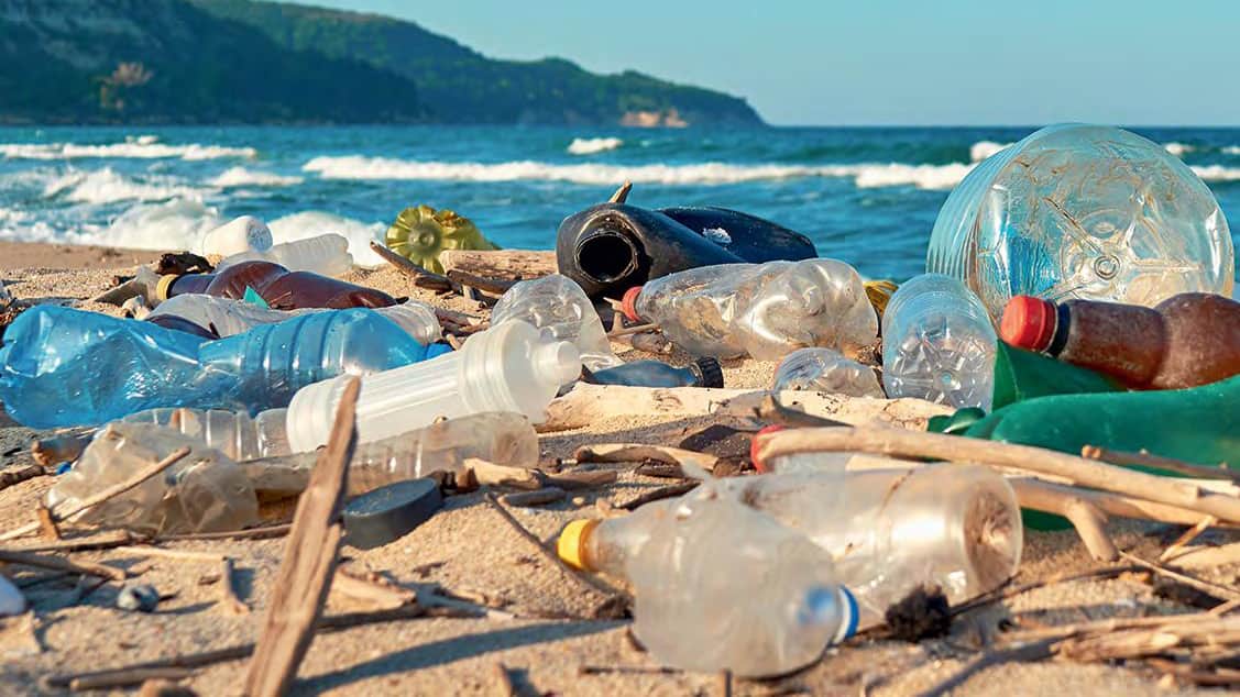 Single Use Plastics